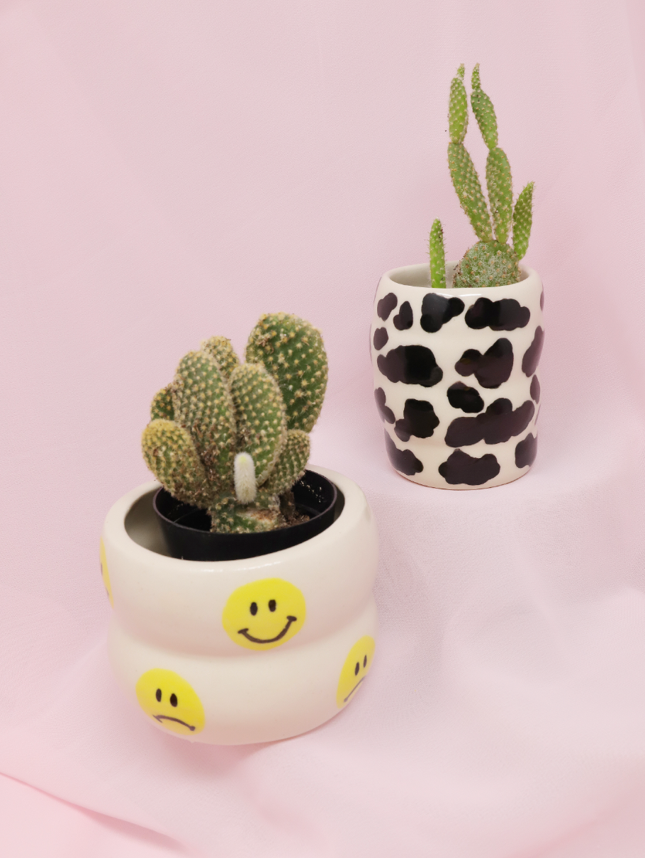 Smiley Planters