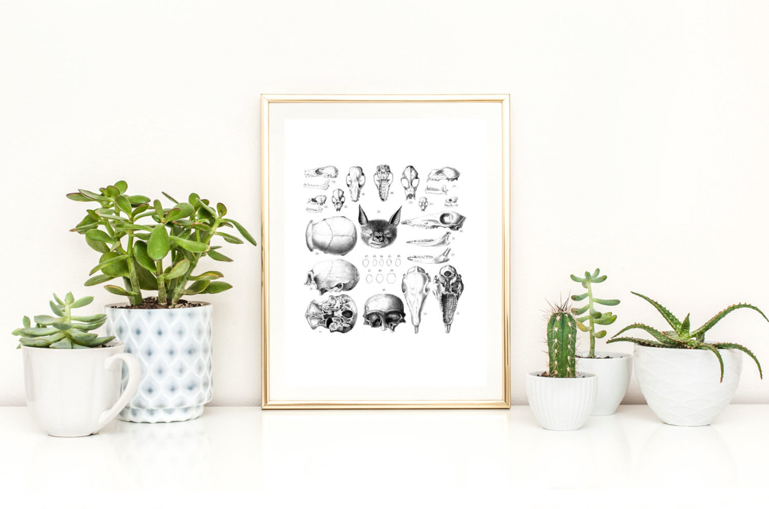 Bat anatomy print - Made Au Gold